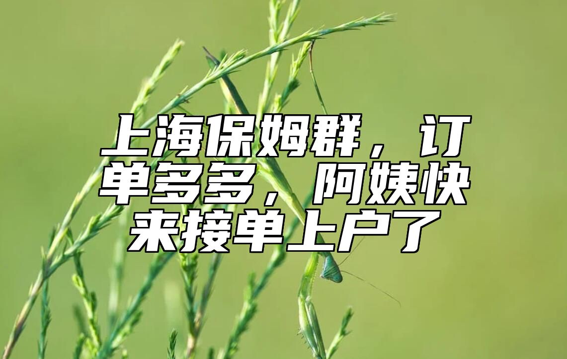 上海保姆群，订单多多，阿姨快来接单上户了 