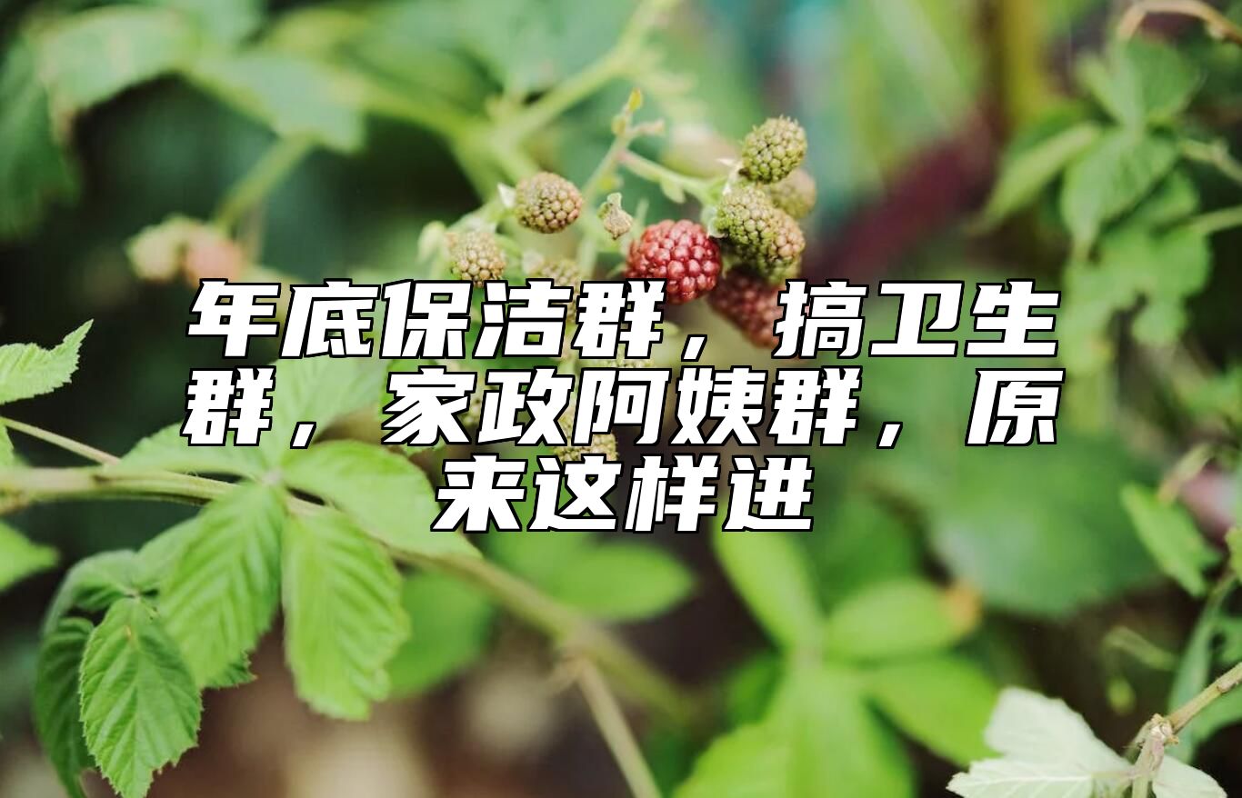 年底保洁群，搞卫生群，家政阿姨群，原来这样进 