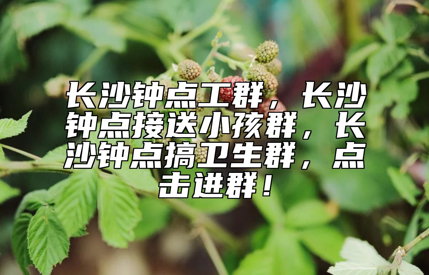 长沙钟点工群，长沙钟点接送小孩群，长沙钟点搞卫生群，点击进群！