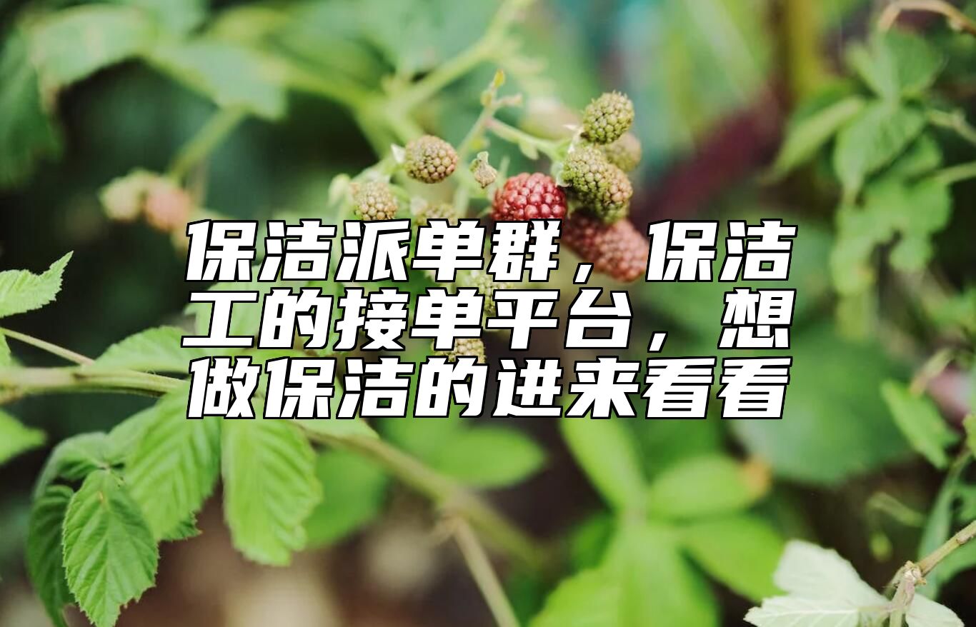 保洁派单群，保洁工的接单平台，想做保洁的进来看看 