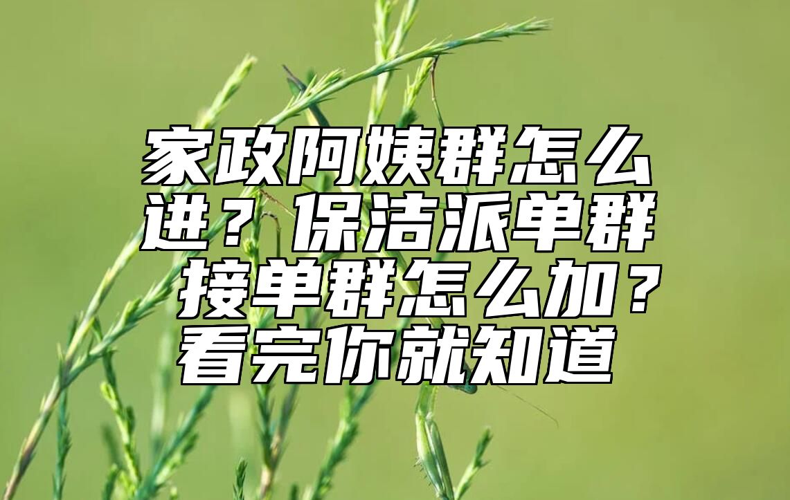 家政阿姨群怎么进？保洁派单群 接单群怎么加？看完你就知道