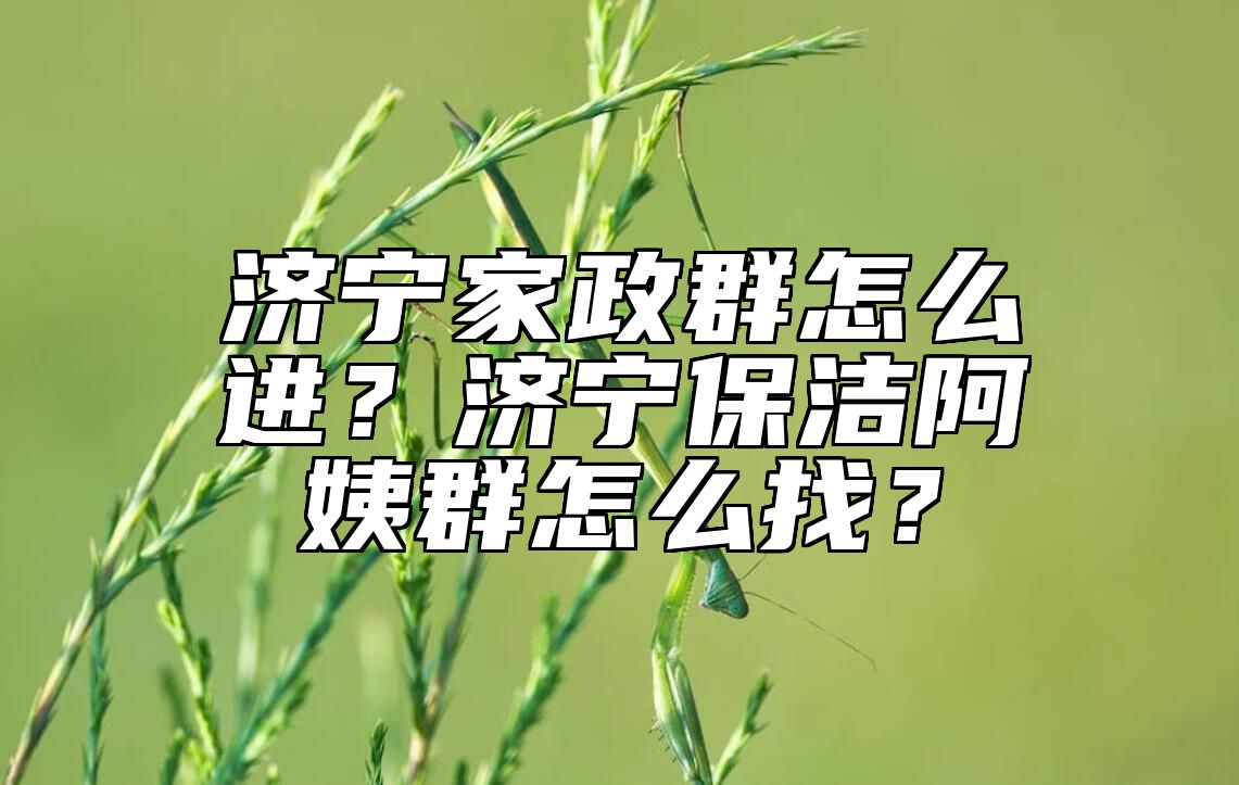 济宁家政群怎么进？济宁保洁阿姨群怎么找？