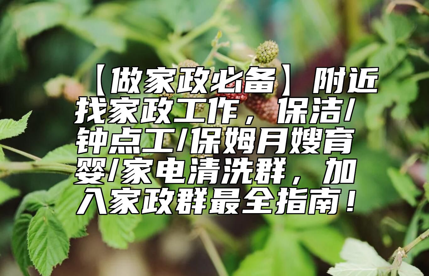 【做家政必备】附近找家政工作，保洁/钟点工/保姆月嫂育婴/家电清洗群，加入家政群最全指南！ 