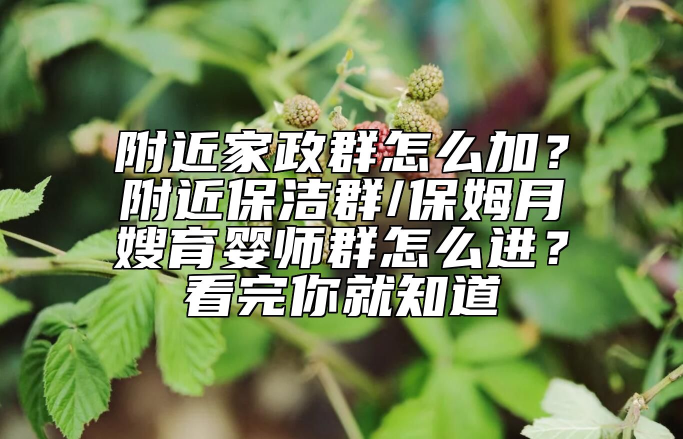 附近家政群怎么加？附近保洁群/保姆月嫂育婴师群怎么进？看完你就知道 