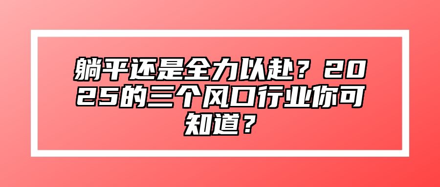躺平还是全力以赴？2025的三个风口行业你可知道？ 