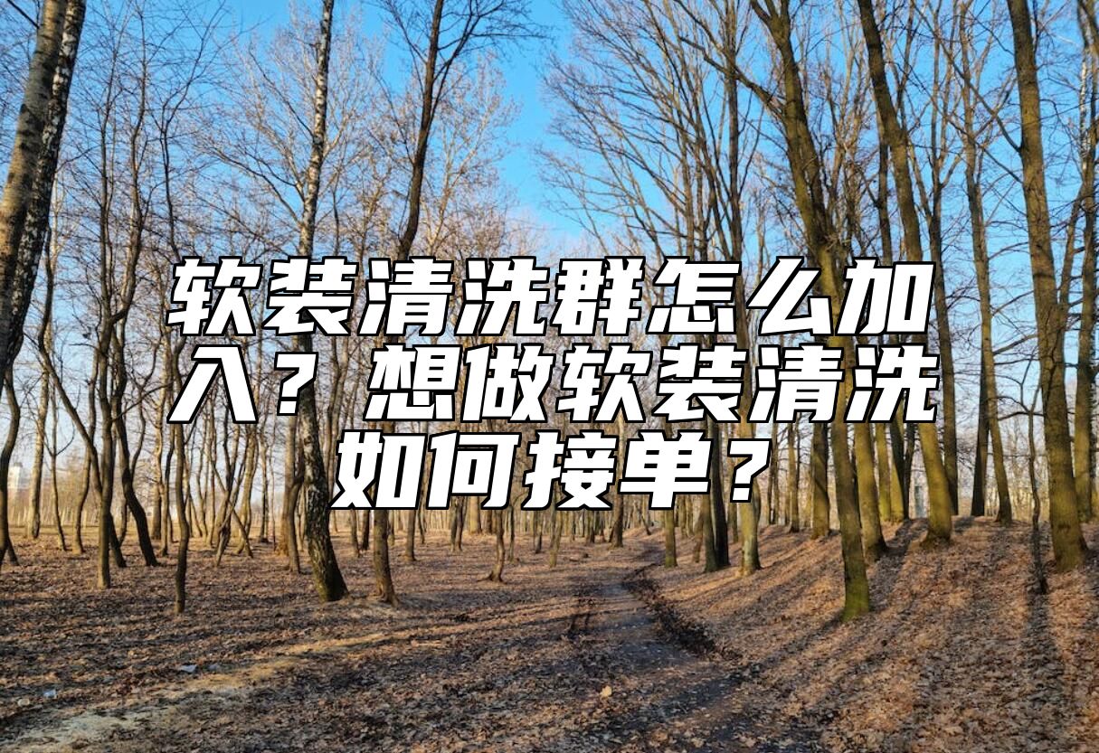 软装清洗群怎么加入？想做软装清洗如何接单？