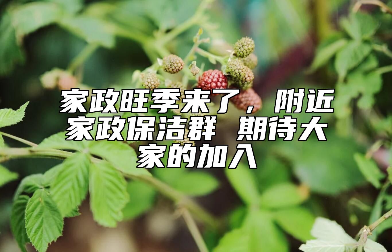 家政旺季来了，附近家政保洁群 期待大家的加入 