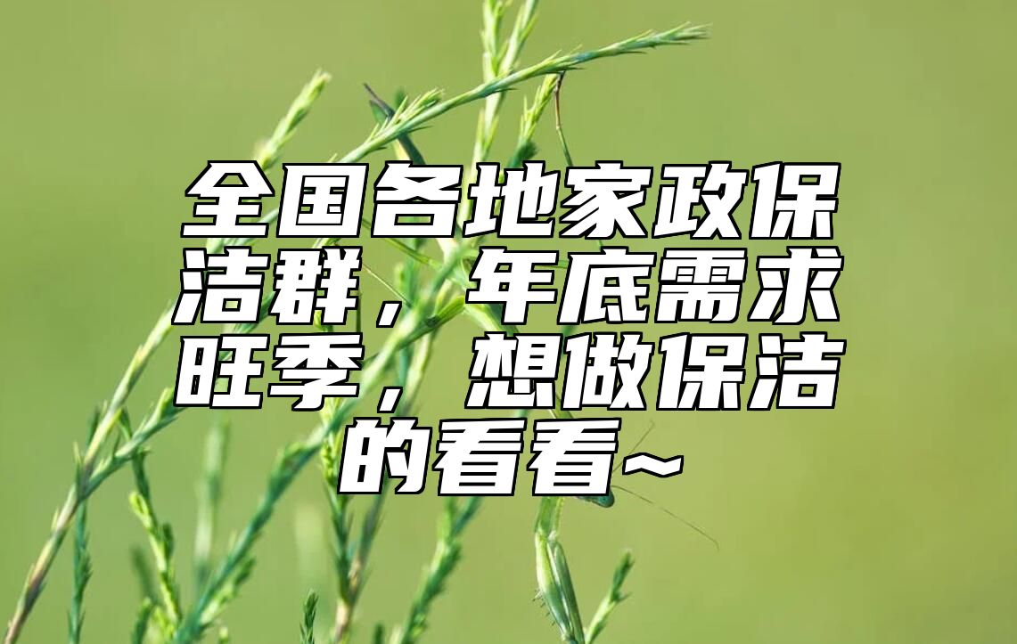 全国各地家政保洁群，年底需求旺季，想做保洁的看看~ 
