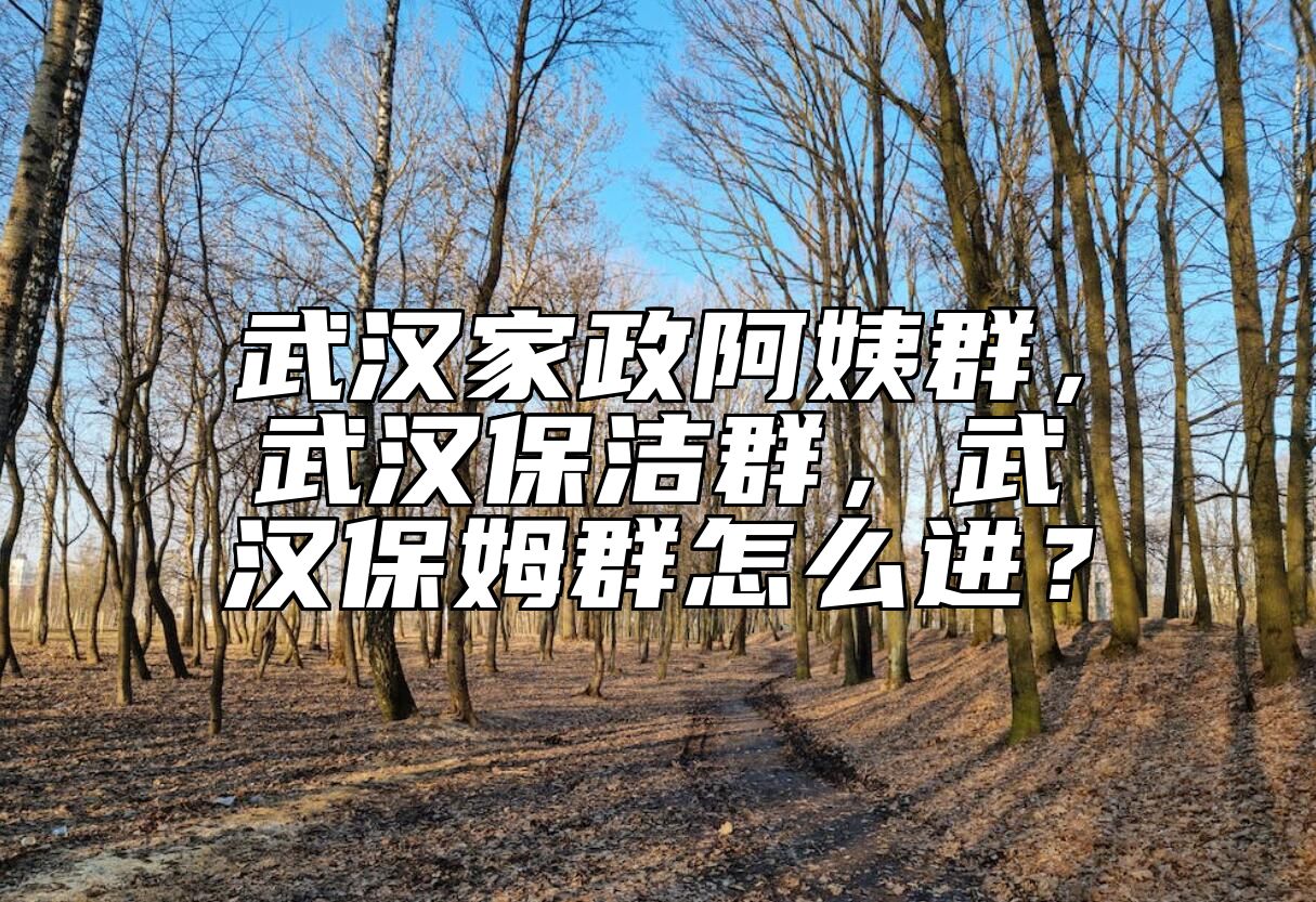 武汉家政阿姨群，武汉保洁群，武汉保姆群怎么进？ 
