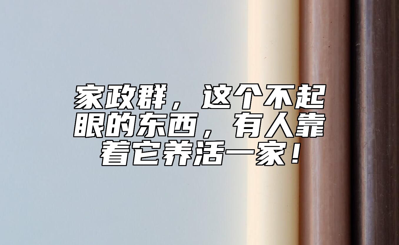 家政群，这个不起眼的东西，有人靠着它养活一家！
