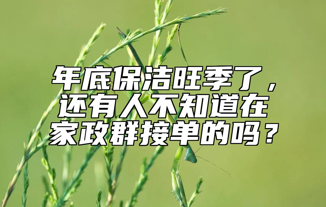 年底保洁旺季了，还有人不知道在家政群接单的吗？