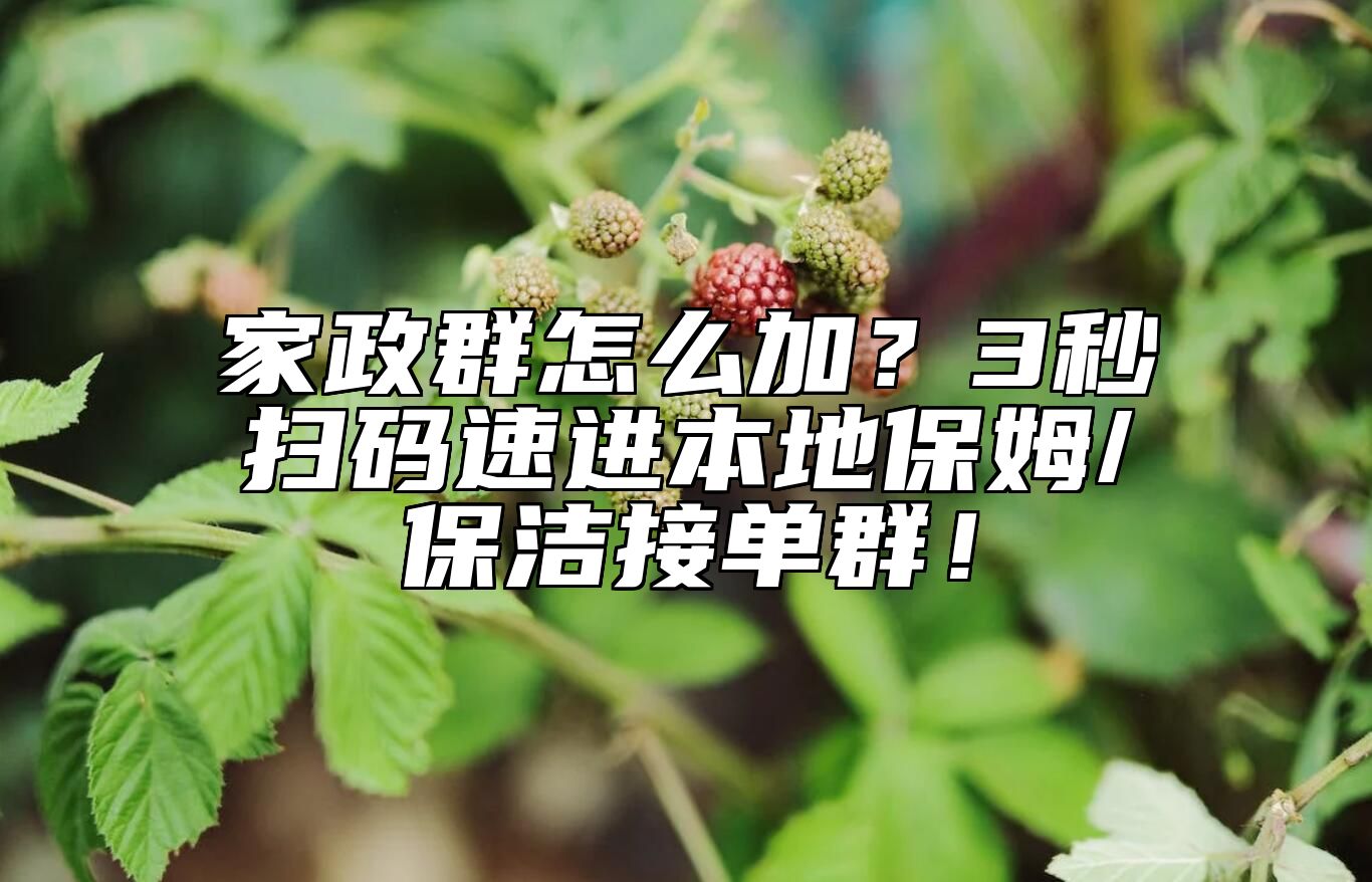 家政群怎么加？3秒扫码速进本地保姆/保洁接单群！