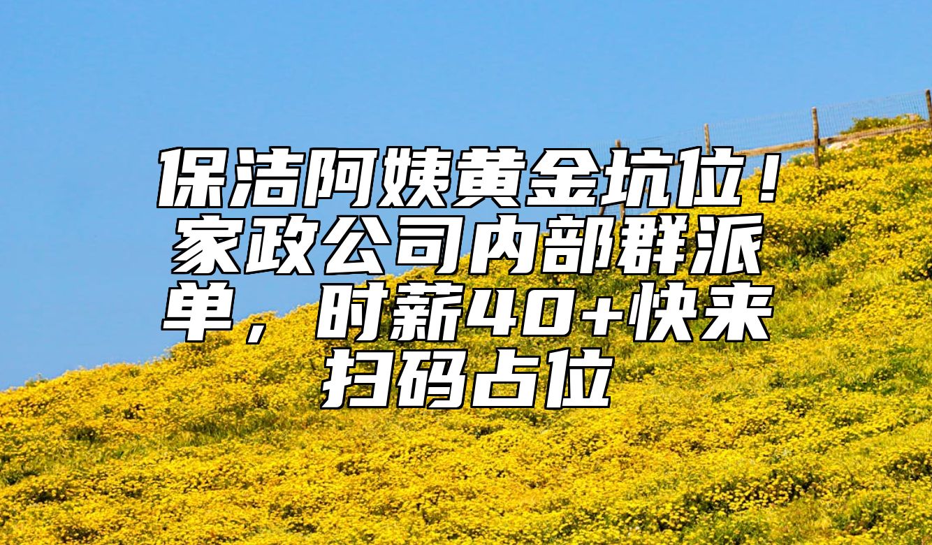 保洁阿姨黄金坑位！家政公司内部群派单，时薪40+快来扫码占位
