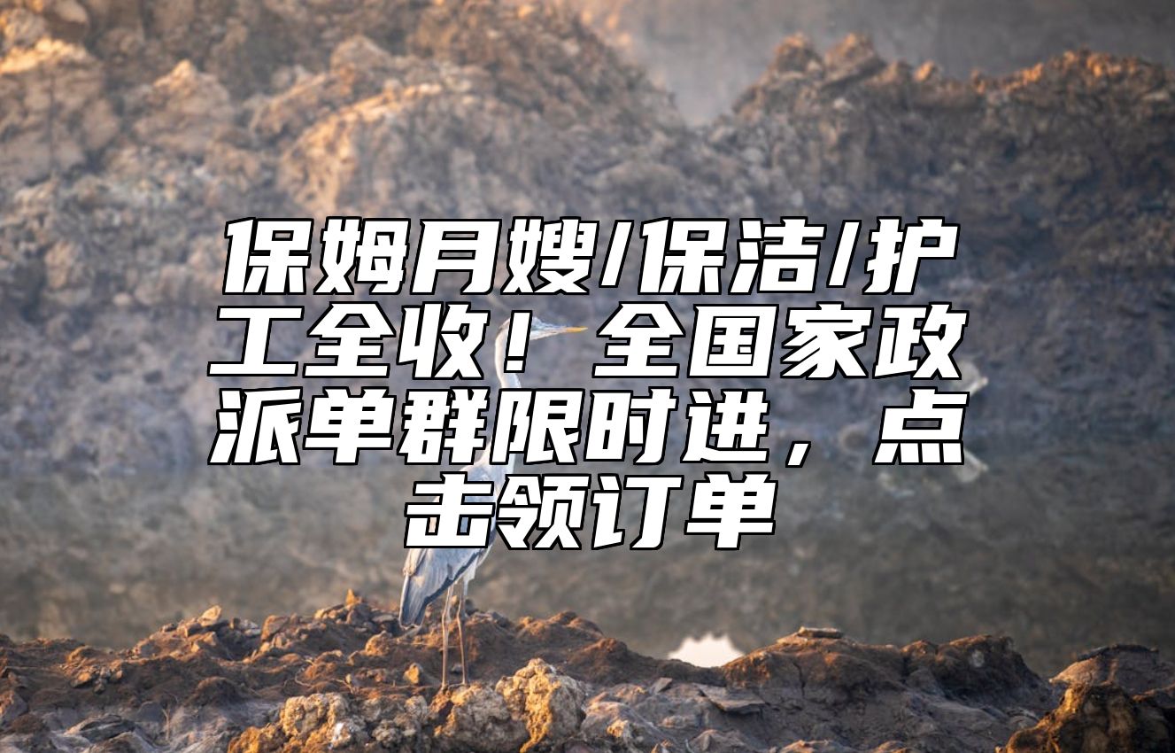 保姆月嫂/保洁/护工全收！全国家政派单群限时进，点击领订单 