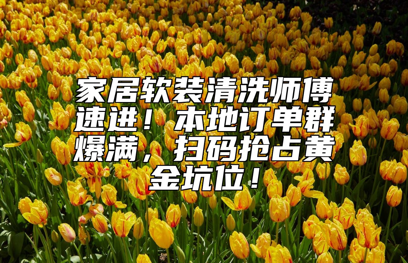 家居软装清洗师傅速进！本地订单群爆满，扫码抢占黄金坑位！ 