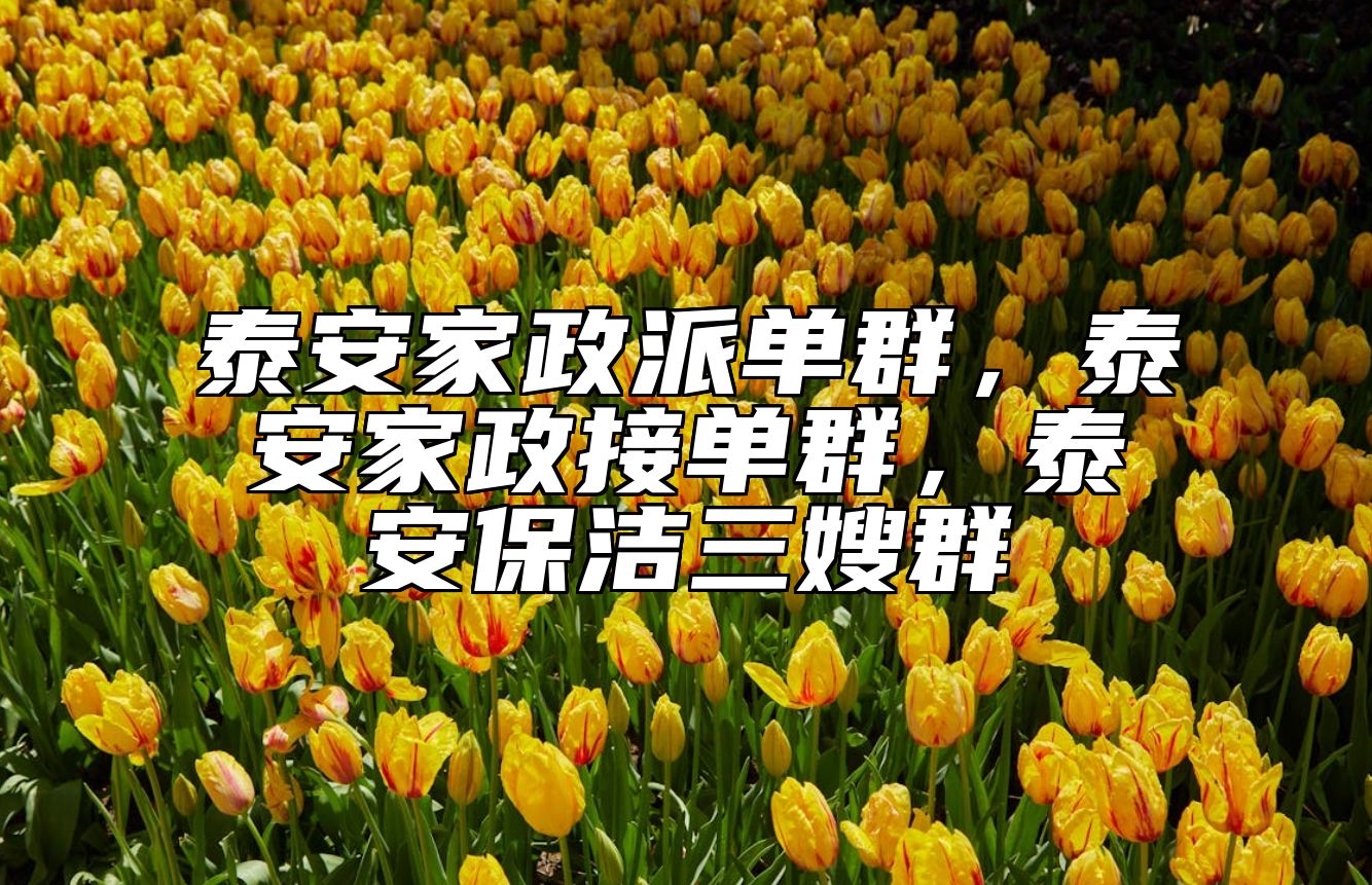 泰安家政派单群，泰安家政接单群，泰安保洁三嫂群 