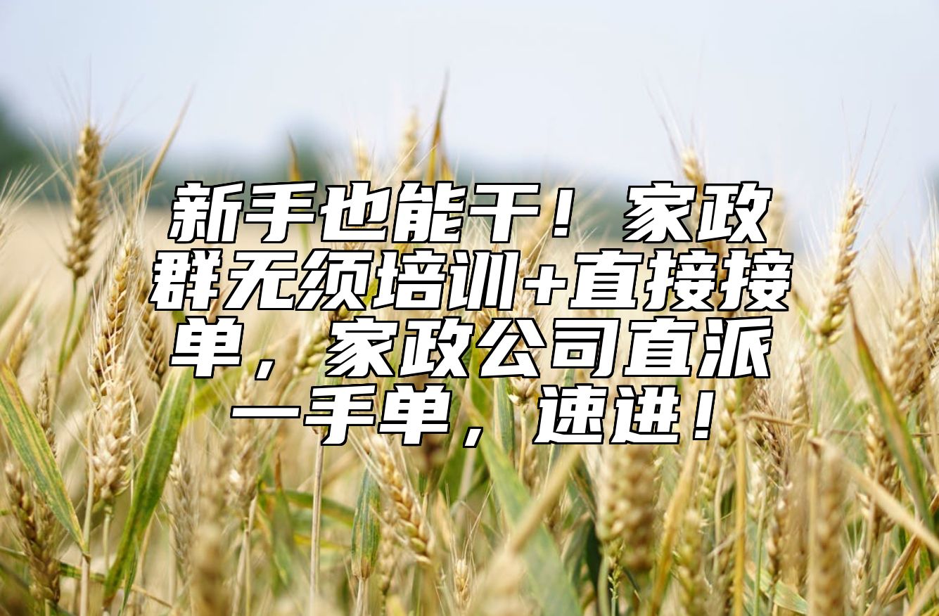 新手也能干！家政群无须培训+直接接单，家政公司直派一手单，速进！