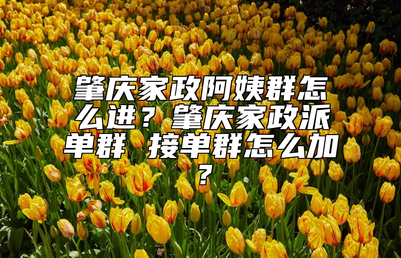 肇庆家政阿姨群怎么进？肇庆家政派单群 接单群怎么加？