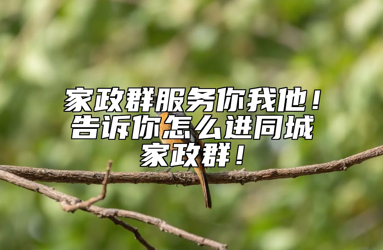 家政群服务你我他！告诉你怎么进同城家政群！