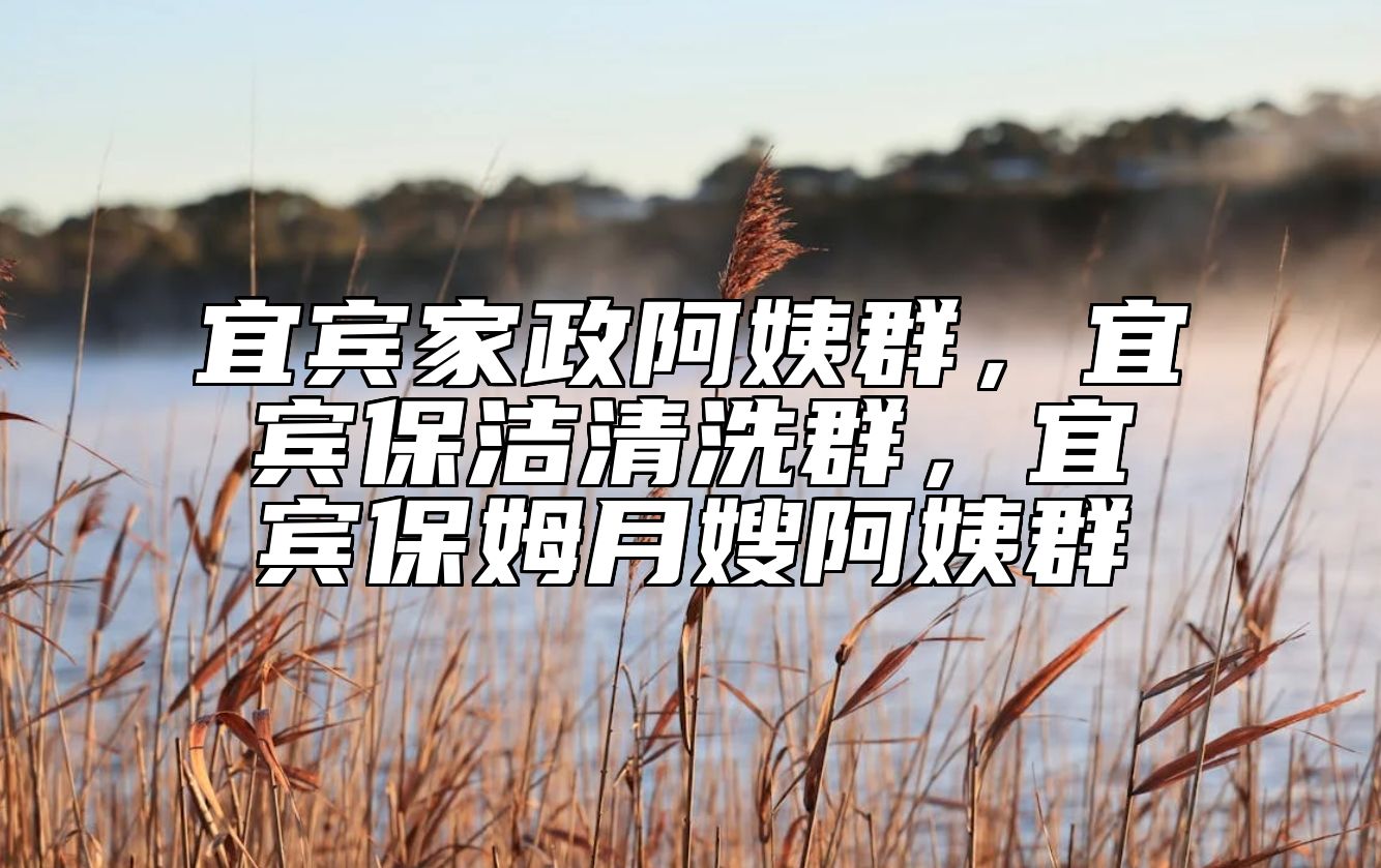 宜宾家政阿姨群，宜宾保洁清洗群，宜宾保姆月嫂阿姨群 