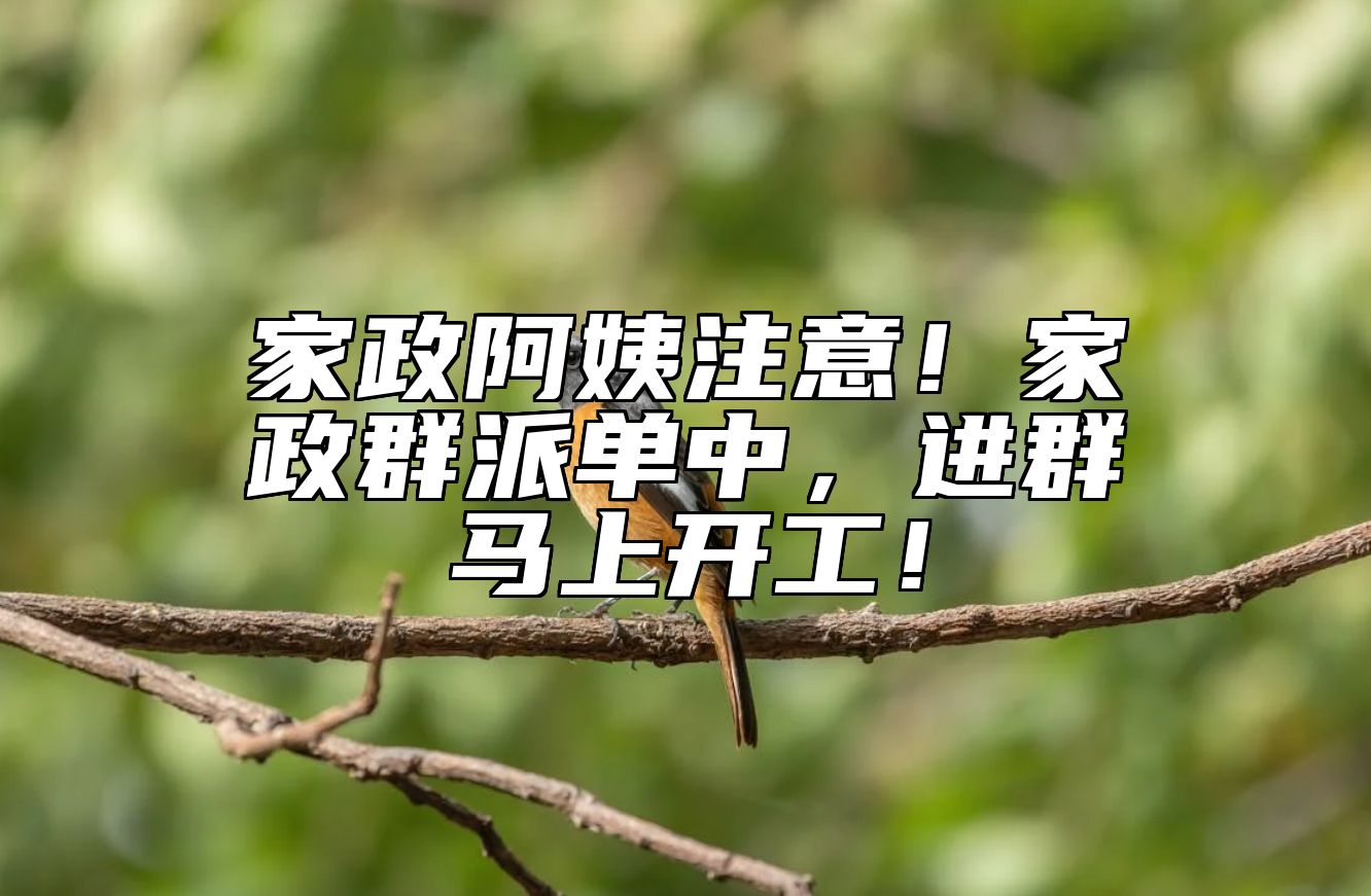 家政阿姨注意！家政群派单中，进群马上开工！