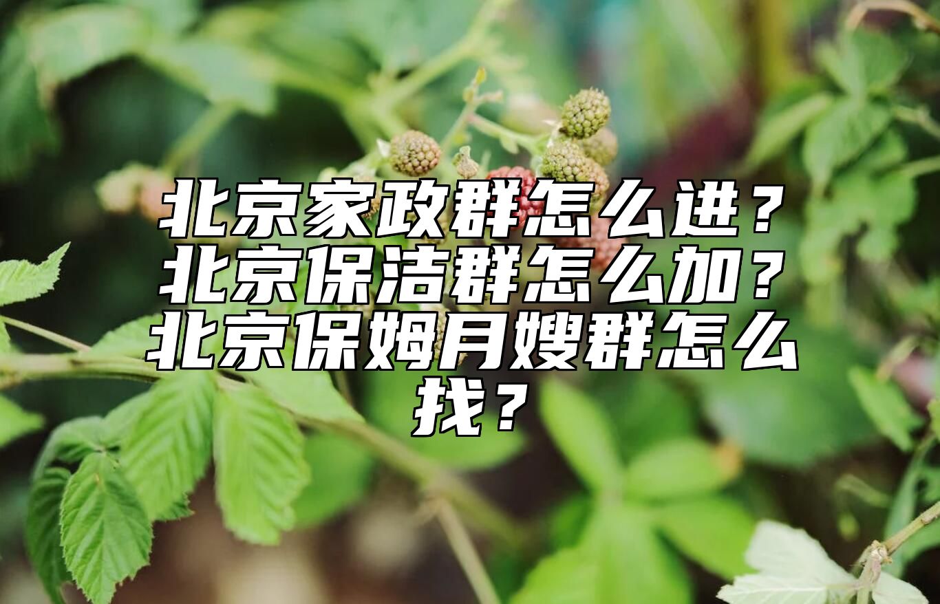 北京家政群怎么进？北京保洁群怎么加？北京保姆月嫂群怎么找？