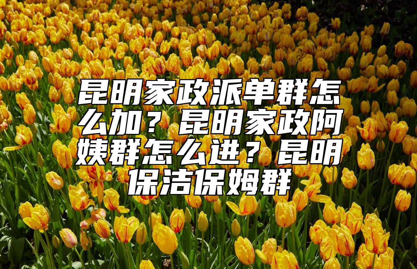 昆明家政派单群怎么加？昆明家政阿姨群怎么进？昆明保洁保姆群