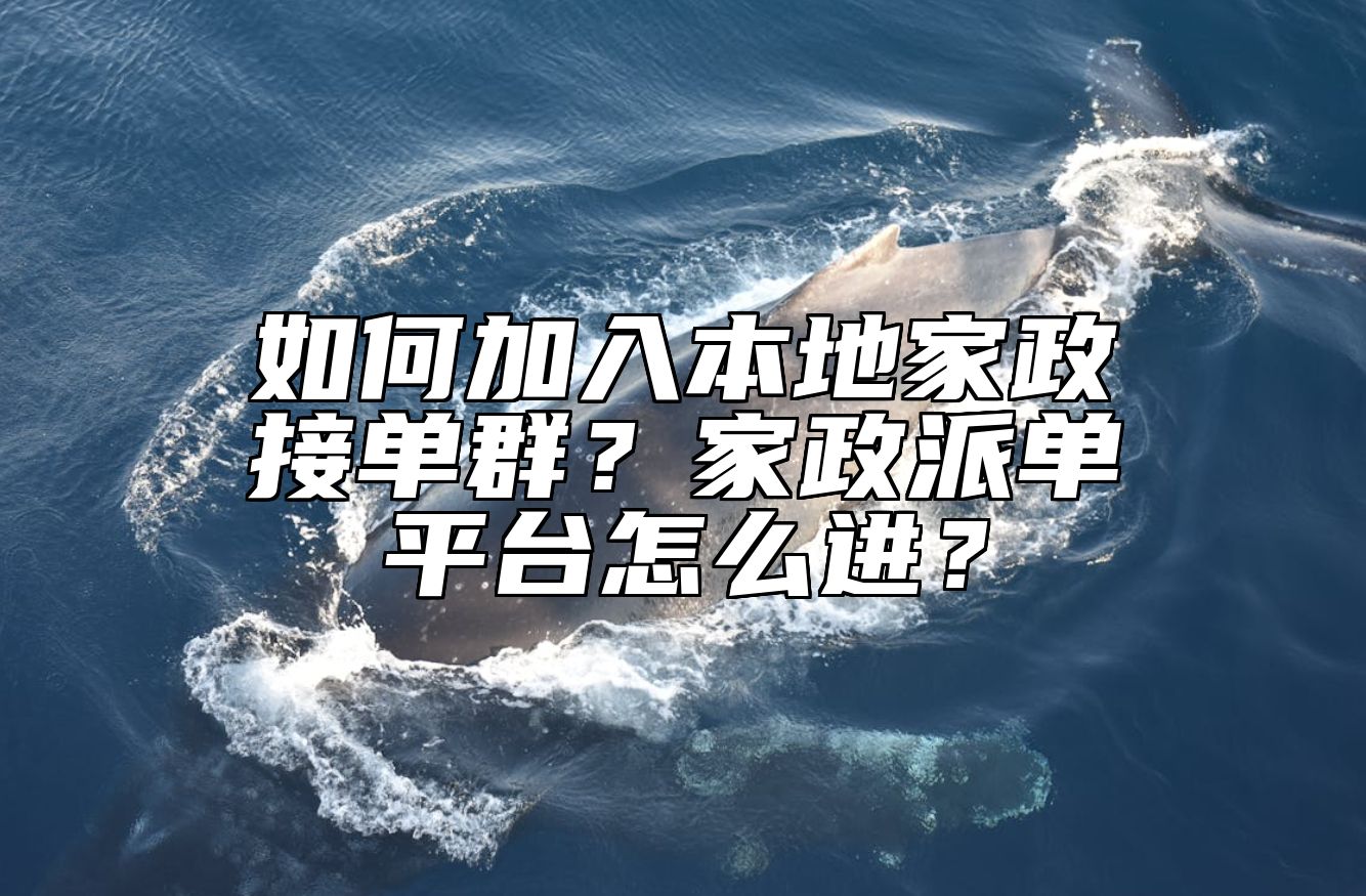 如何加入本地家政接单群？家政派单平台怎么进？ 