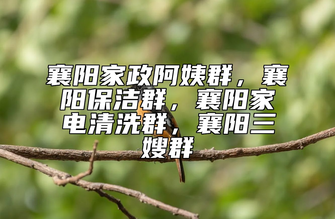 襄阳家政阿姨群，襄阳保洁群，襄阳家电清洗群，襄阳三嫂群 