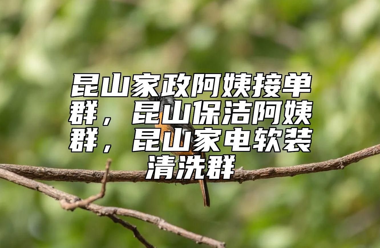 昆山家政阿姨接单群，昆山保洁阿姨群，昆山家电软装清洗群