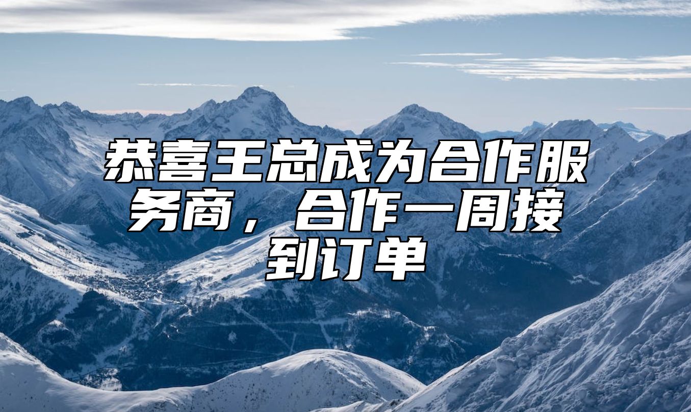 恭喜王总成为合作服务商，合作一周接到订单 