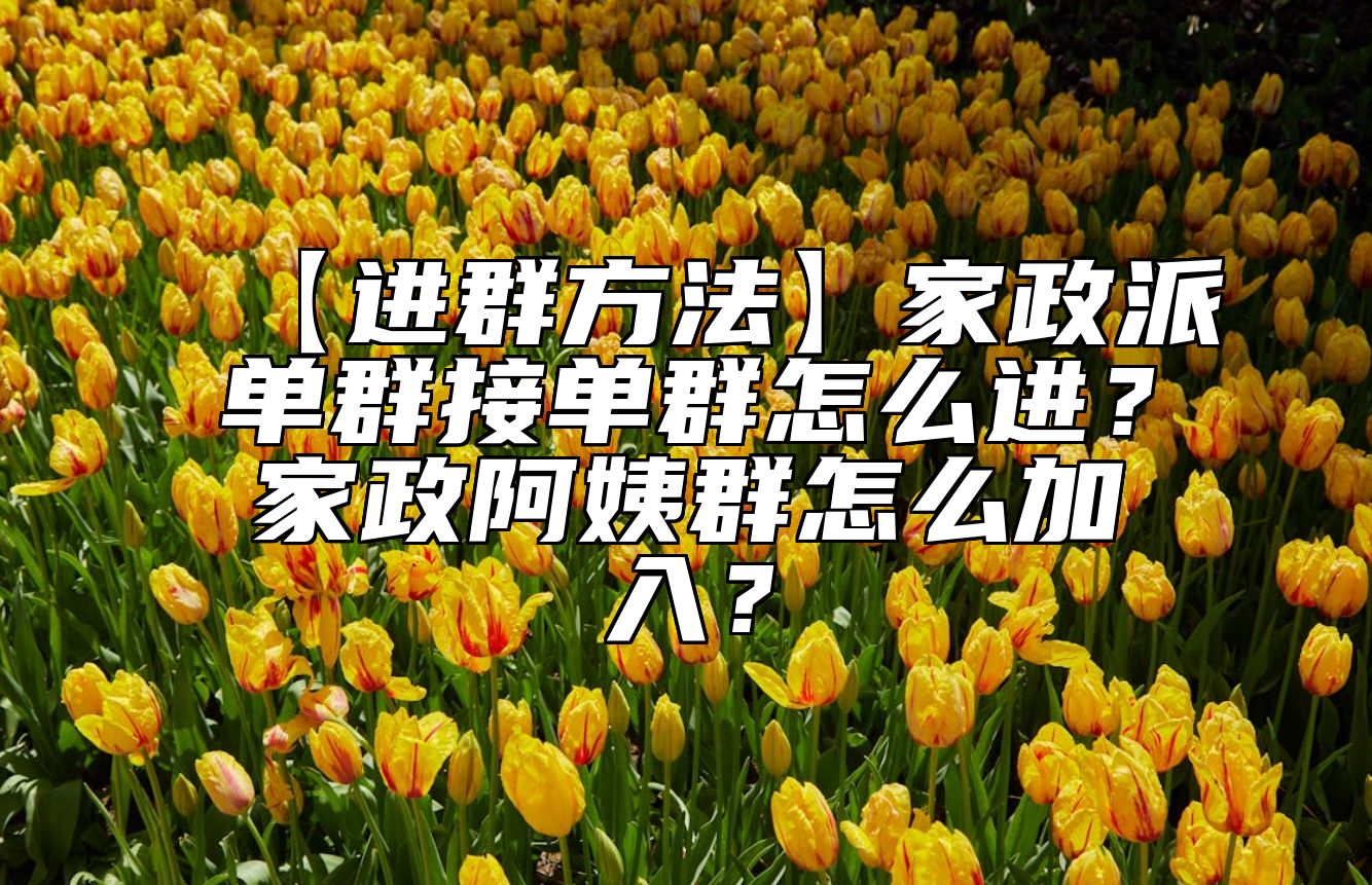 【进群方法】家政派单群接单群怎么进？家政阿姨群怎么加入？