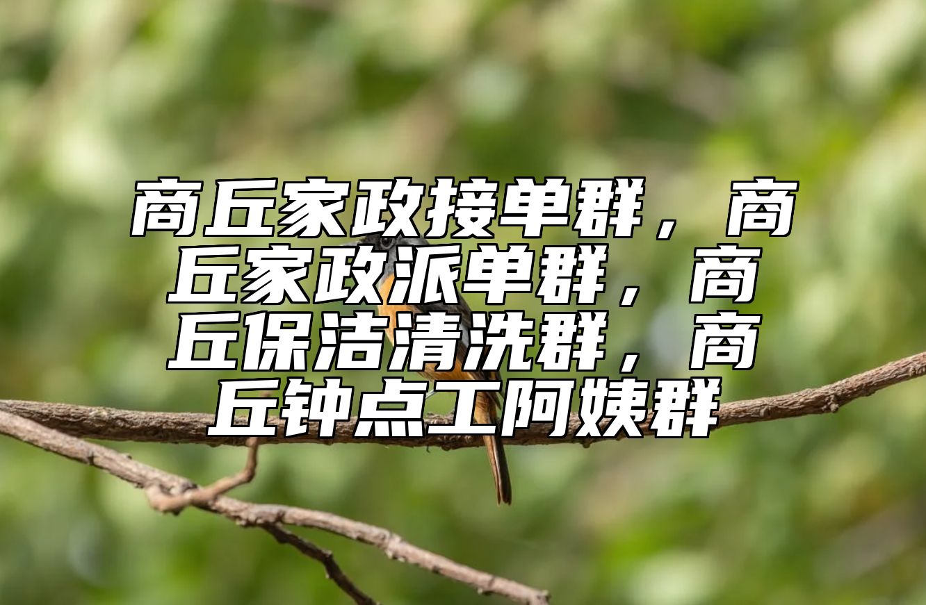 商丘家政接单群，商丘家政派单群，商丘保洁清洗群，商丘钟点工阿姨群