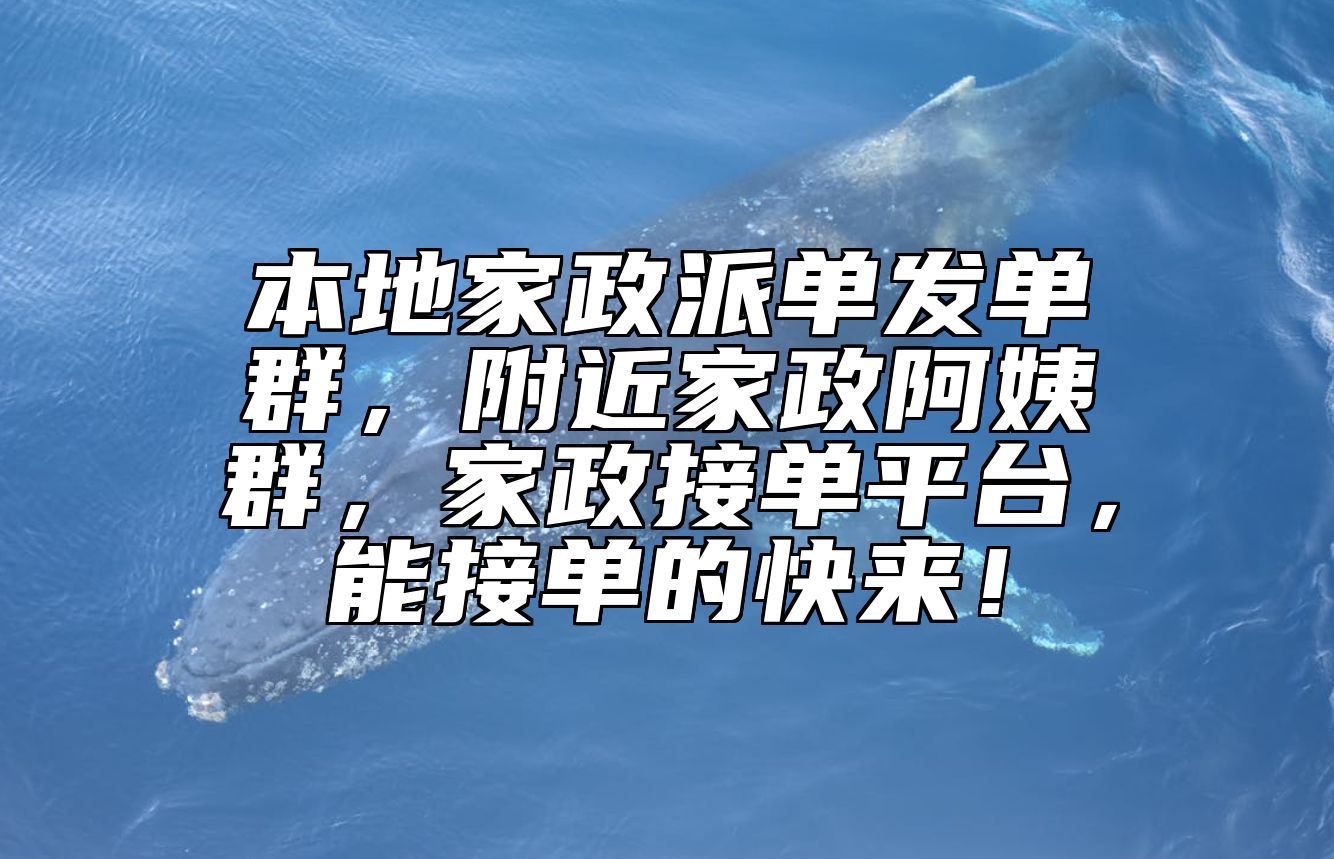 本地家政派单发单群，附近家政阿姨群，家政接单平台，能接单的快来！