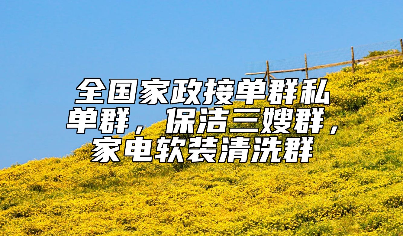 全国家政接单群私单群，保洁三嫂群，家电软装清洗群 