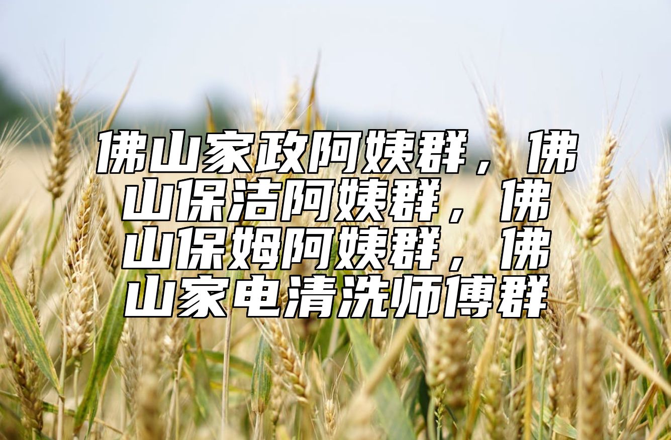 佛山家政阿姨群，佛山保洁阿姨群，佛山保姆阿姨群，佛山家电清洗师傅群 