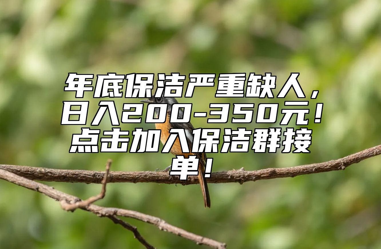 年底保洁严重缺人，日入200-350元！点击加入保洁群接单！