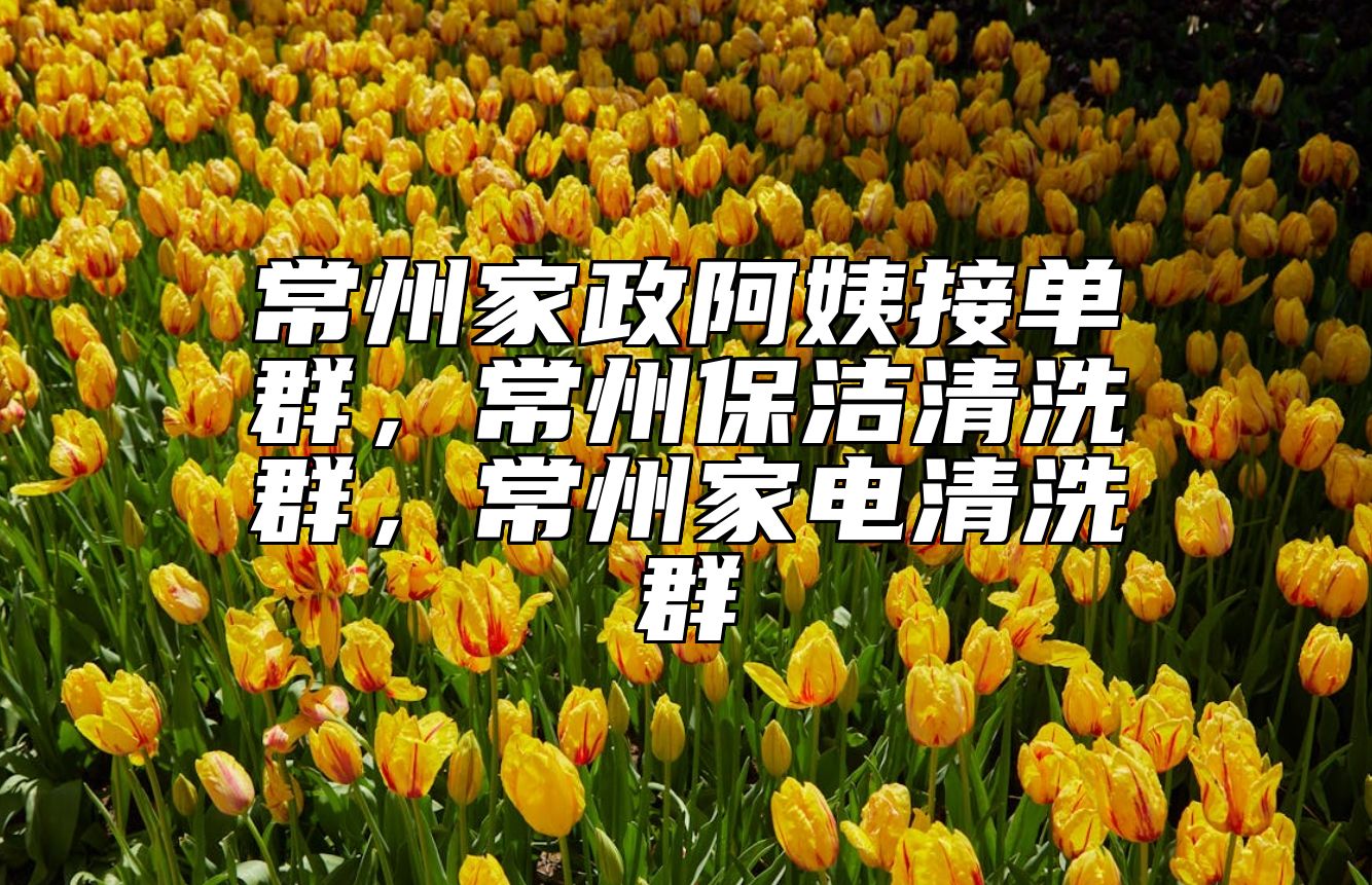 常州家政阿姨接单群，常州保洁清洗群，常州家电清洗群