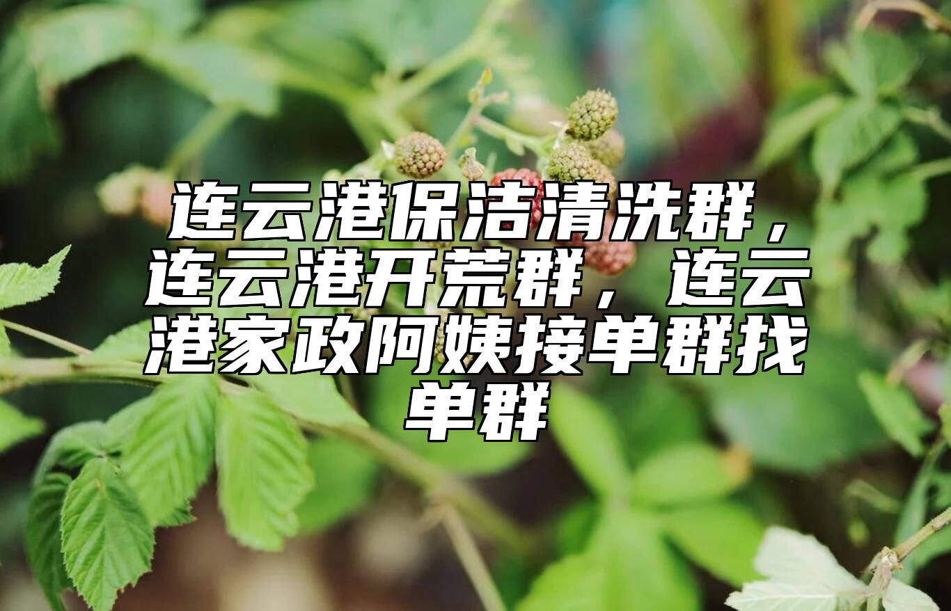 连云港保洁清洗群，连云港开荒群，连云港家政阿姨接单群找单群 