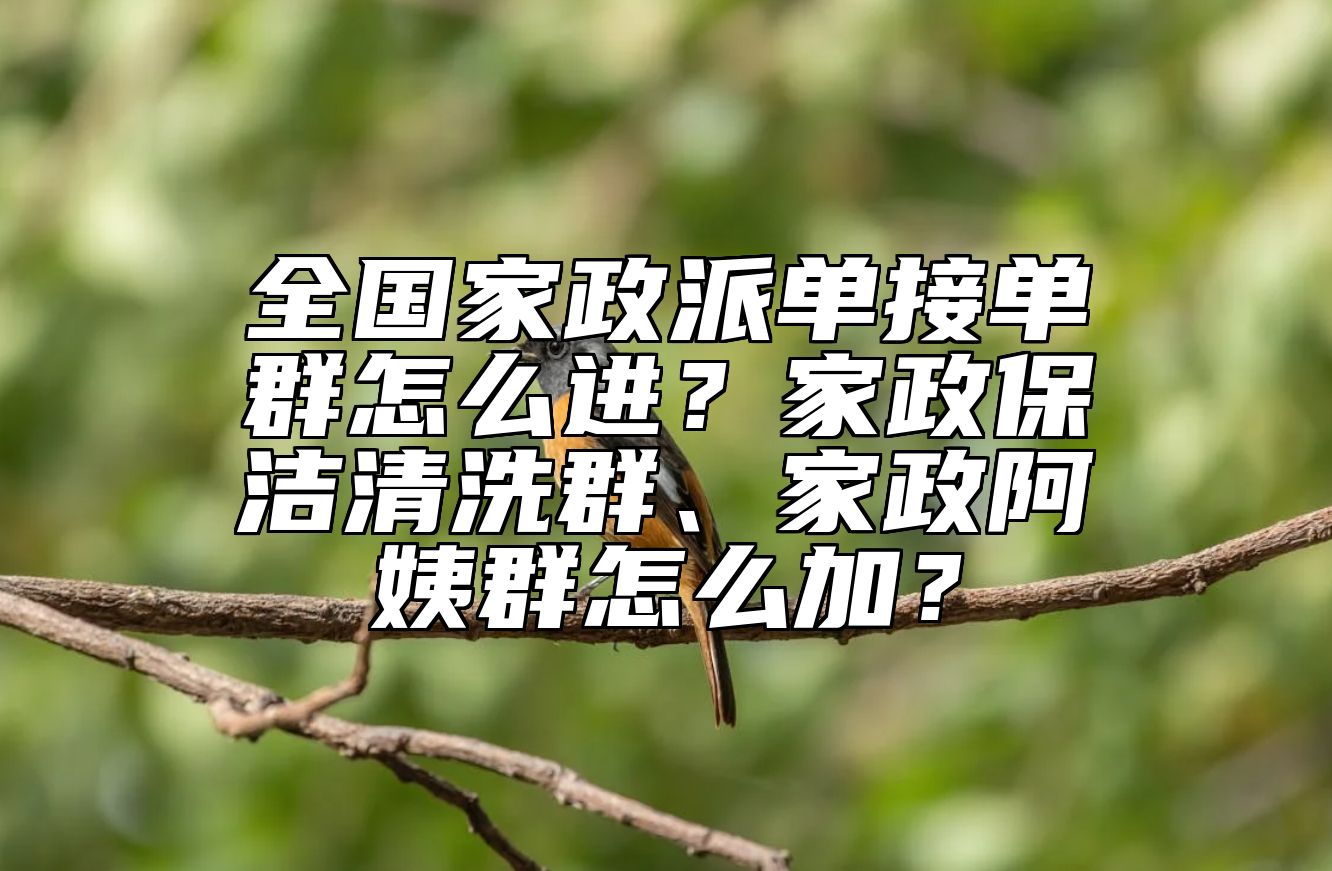 全国家政派单接单群怎么进？家政保洁清洗群、家政阿姨群怎么加？