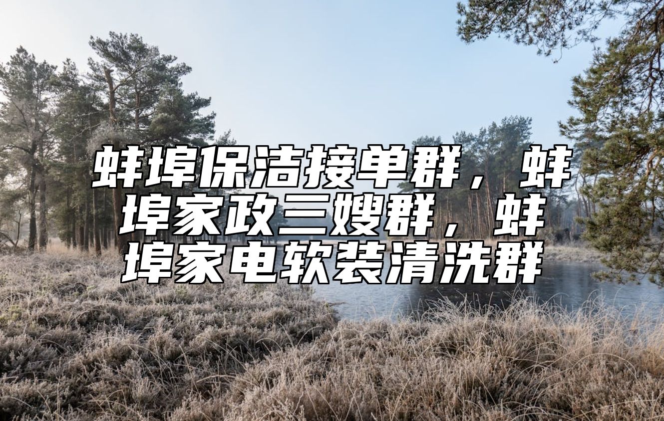 蚌埠保洁接单群，蚌埠家政三嫂群，蚌埠家电软装清洗群