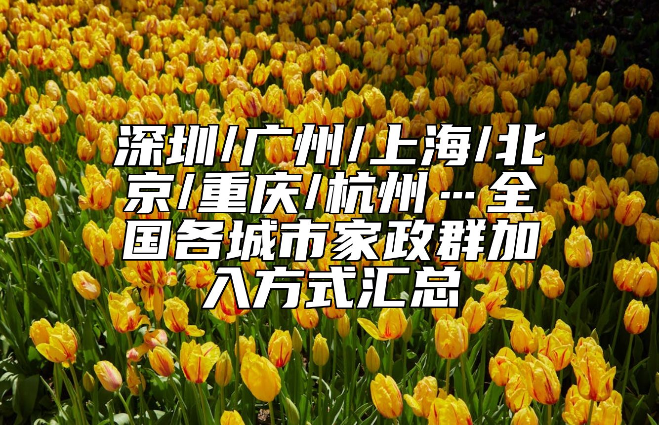 深圳/广州/上海/北京/重庆/杭州…全国各城市家政群加入方式汇总