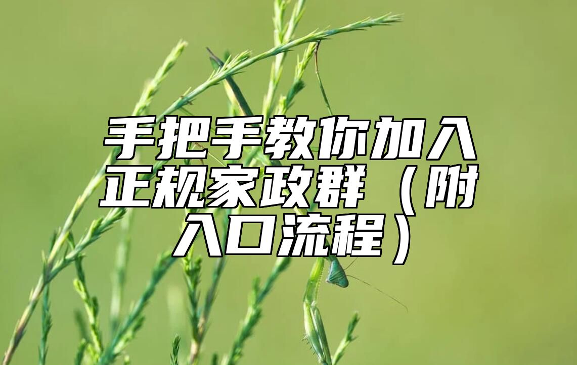 手把手教你加入正规家政群（附入口流程）