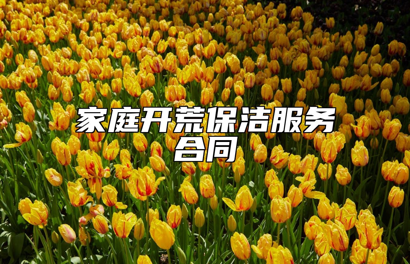 家庭开荒保洁服务合同