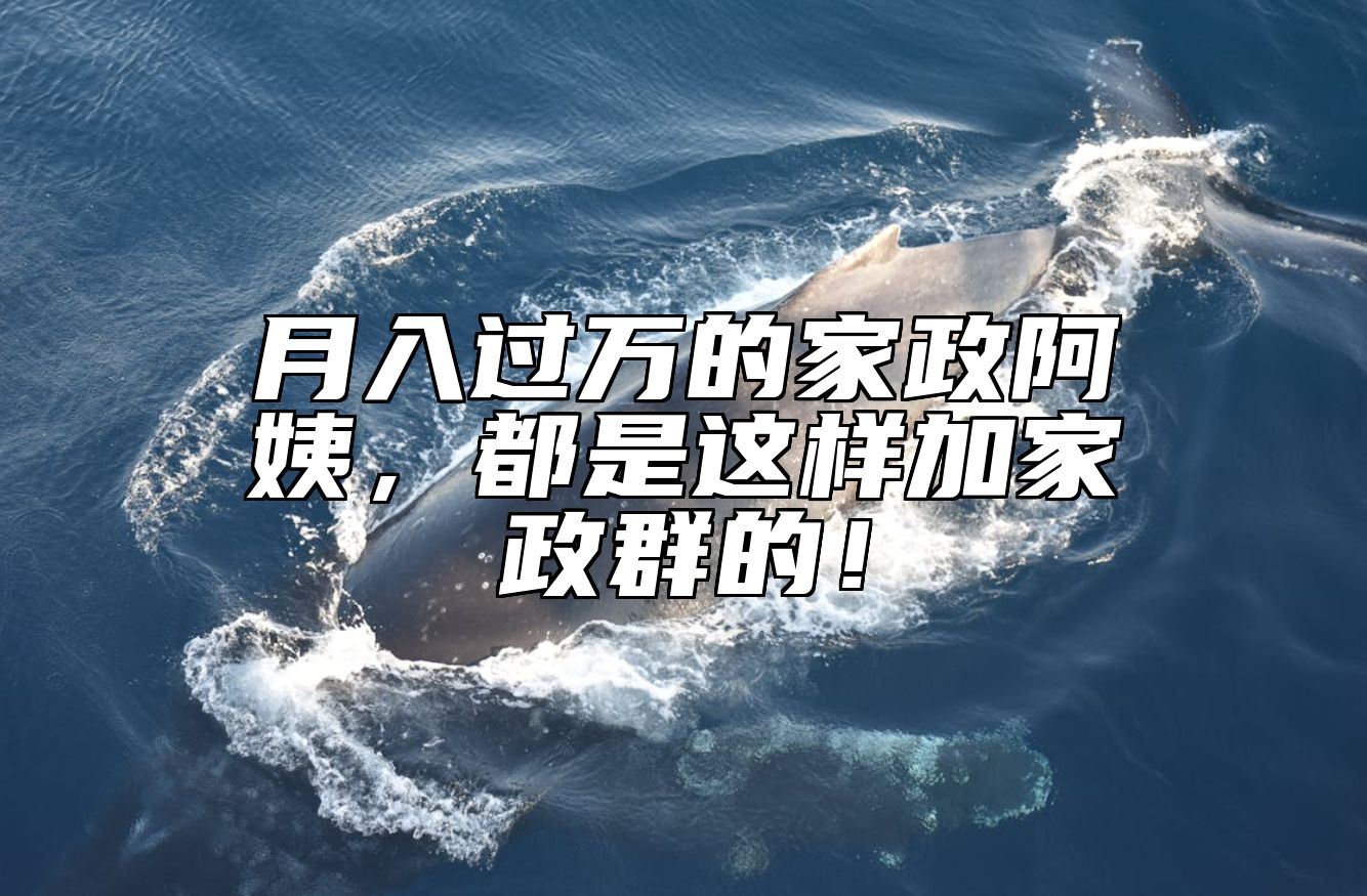 月入过万的家政阿姨，都是这样加家政群的！