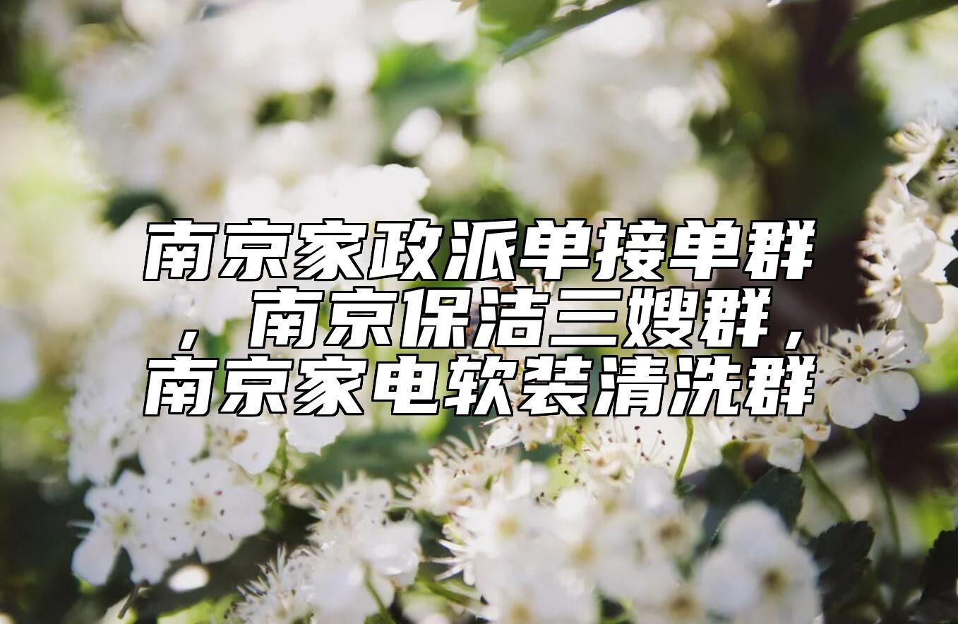 南京家政派单接单群，南京保洁三嫂群，南京家电软装清洗群