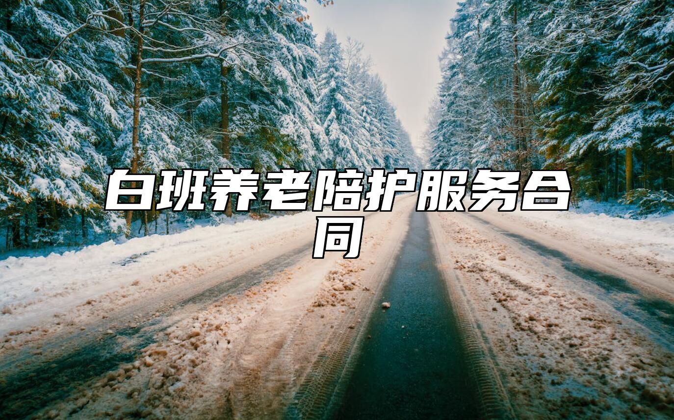 白班养老陪护服务合同