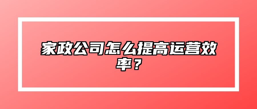 家政公司怎么提高运营效率？