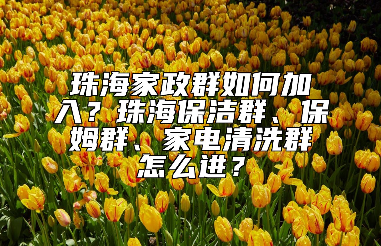 珠海家政群如何加入？珠海保洁群、保姆群、家电清洗群怎么进？