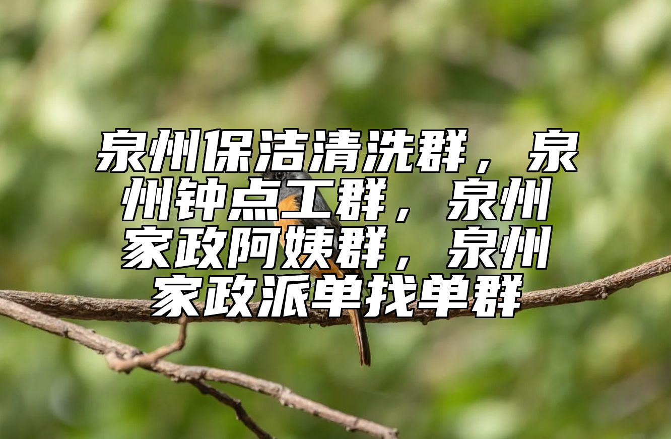 泉州保洁清洗群，泉州钟点工群，泉州家政阿姨群，泉州家政派单找单群